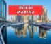 Fresh Milk Delivery in Dubai Marina