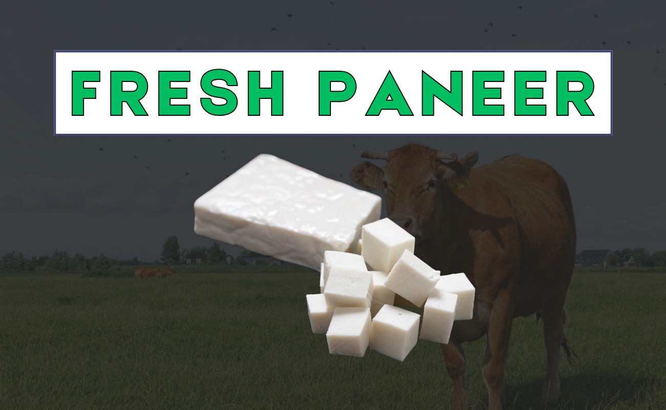Fresh Paneer