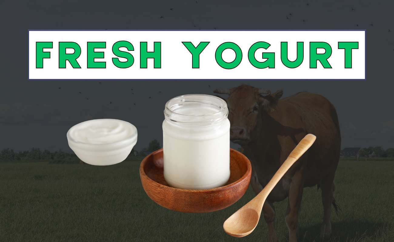 Fresh yogurt