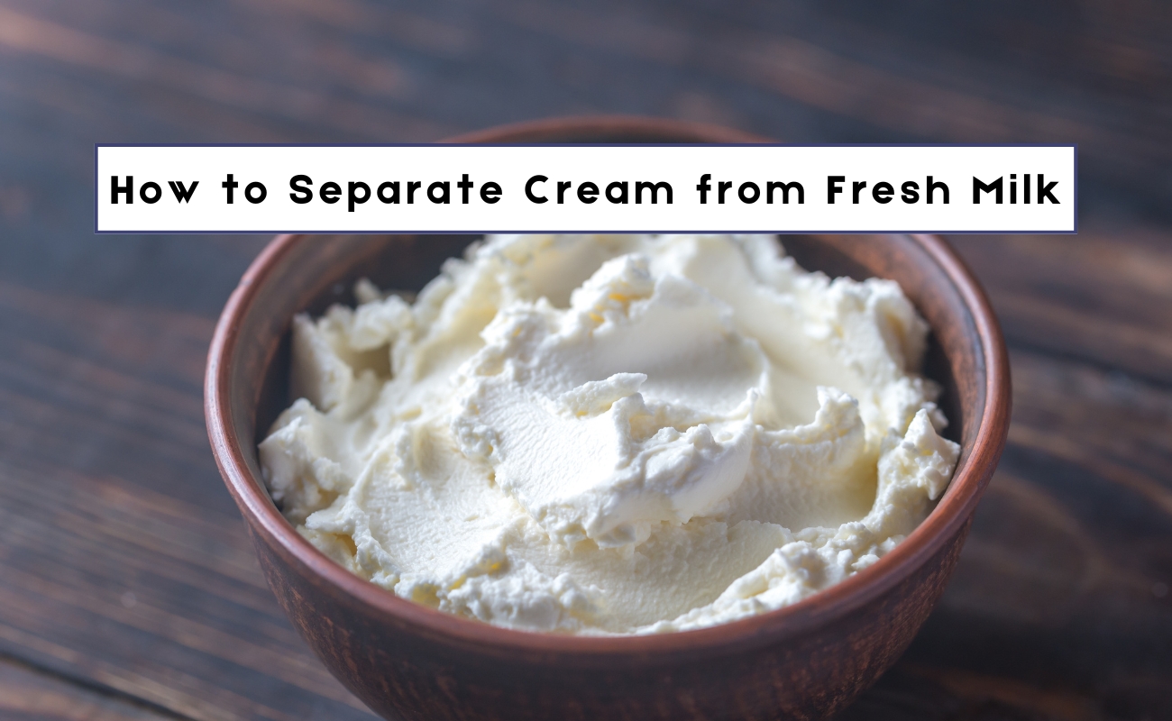 How to Separate Cream from Fresh Milk