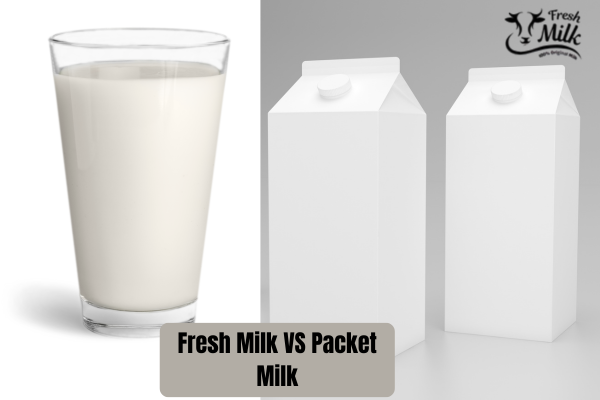fresh milk vs packet milk